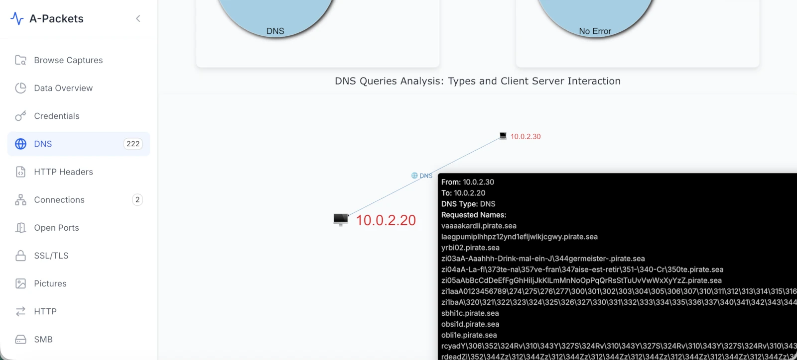 A-Packets DNS detail view showing suspicious query names, clients, and responses