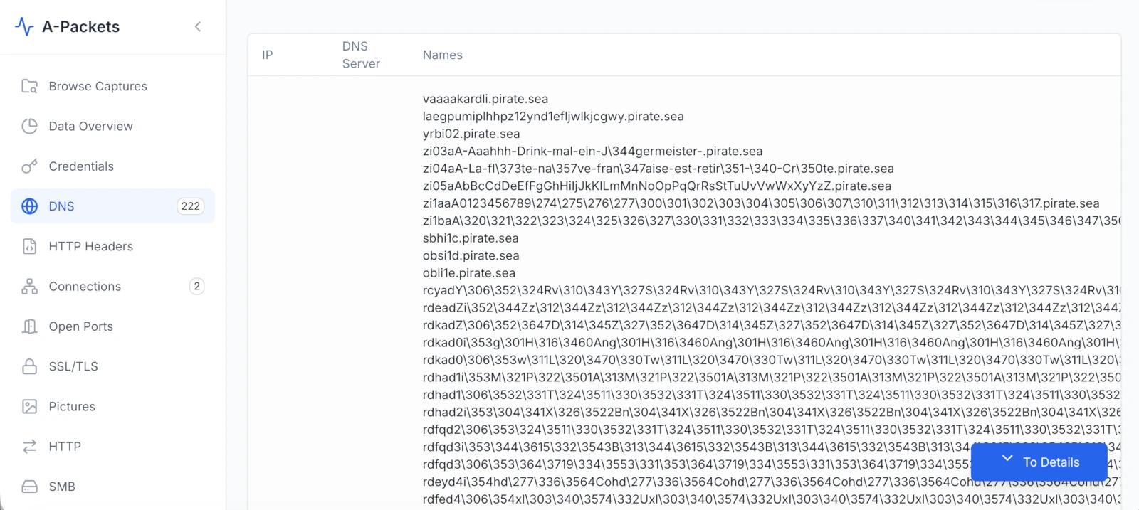 A-Packets DNS overview showing many suspicious generated-looking pirate.sea queries from one capture