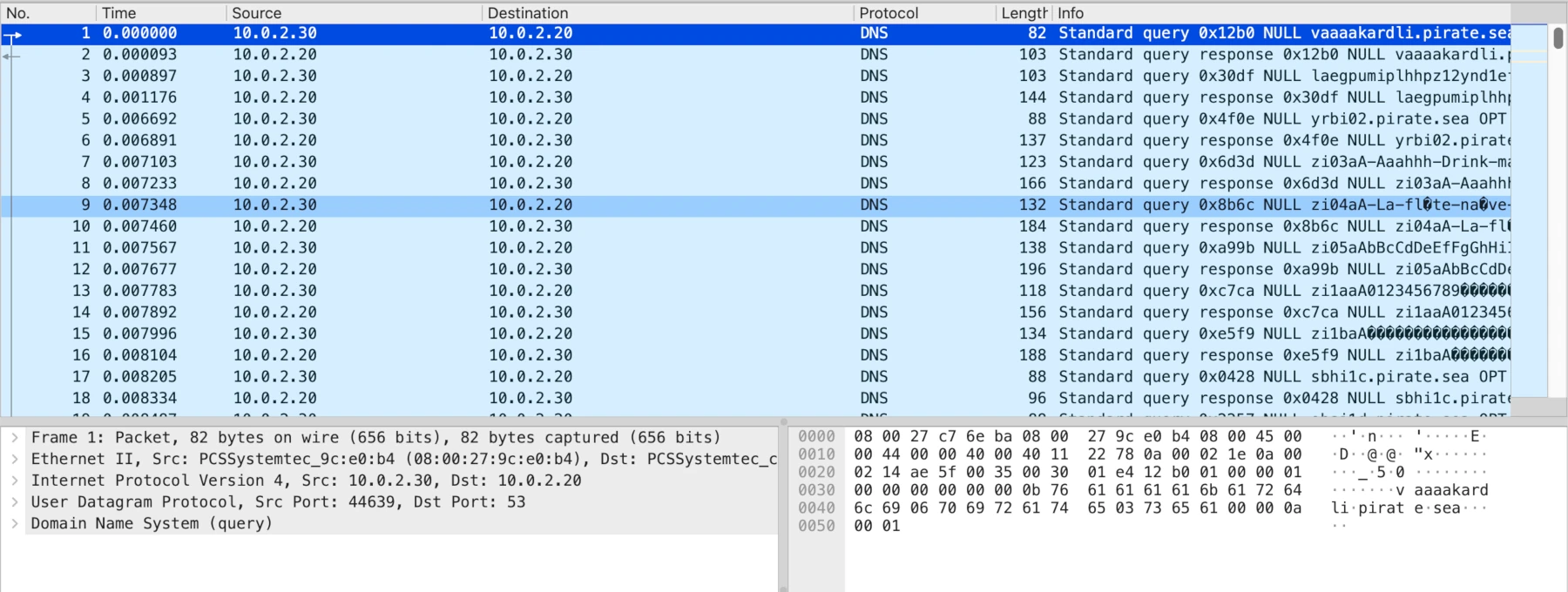 Wireshark showing DNS NULL queries between 10.0.2.30 and 10.0.2.20 with suspicious pirate.sea names